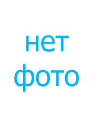 net foto2